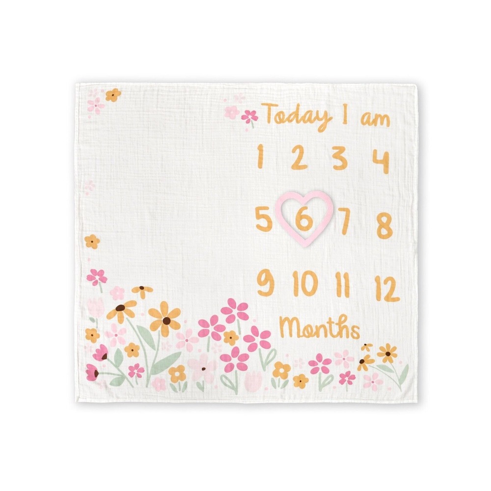 Gerber Baby Girl 2 Piece Monthly Milestone Blanket And Frame Set Yellow Princess